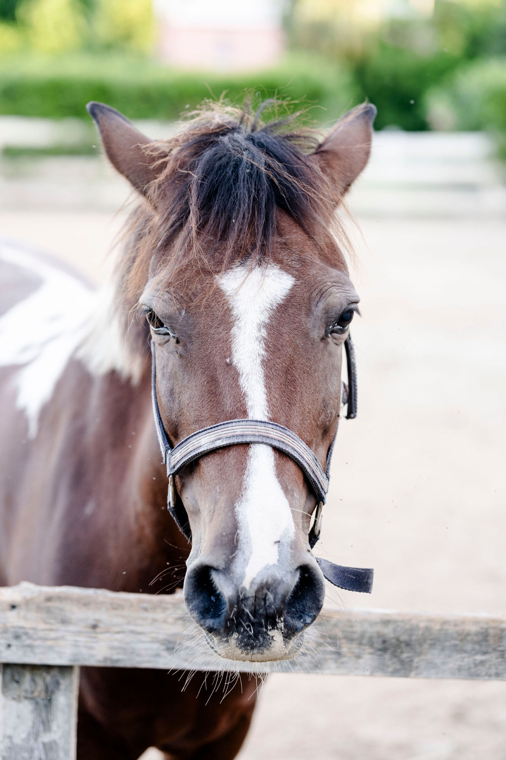 Delta’s Roulette aka Dakota
